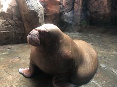 -哈尔滨波塞冬海底世界