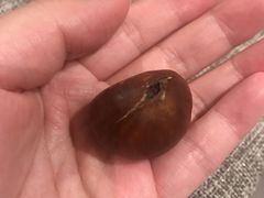 -栗满秋(燕丰西坝河店)