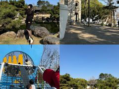 -江心屿景区