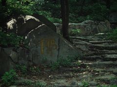 -阳台山自然风景区