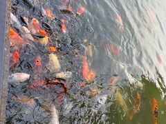 -珠海圆明新园