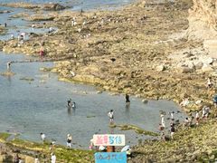 -养马岛旅游度假区