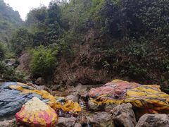 -南海湾森林生态园