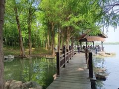 -高子水居