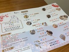 -猫小主咖啡·猫咖cat cafe(福田店)