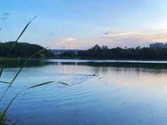 -美兰湖景区