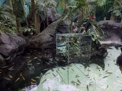 -上海海洋水族馆