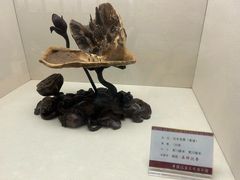 -中国沉香文化博物馆