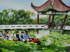 -洪湖生态旅游区