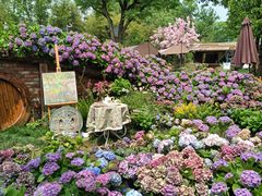 -HERRE·FARM 赫尔露营农场·团建聚会包场