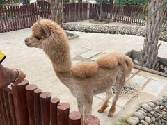 -呀路古热带植物园