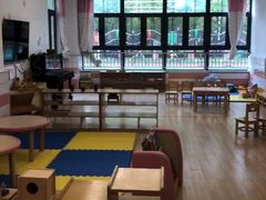 -上海宝山区上外附小幼儿园