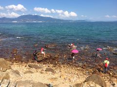 -西涌国际滨海旅游区