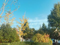 景点-西安世博园