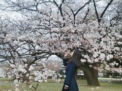 -名古屋城
