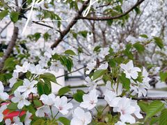 -新虹桥中心大厦