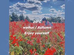 -羊亭河湿地公园