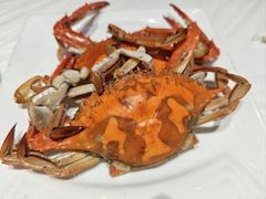 -渔民船说·北塘海鲜·天津菜·海肠捞饭(北塘古镇店)