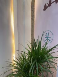 点击看大图 -梵茜儿·头道汤养生馆