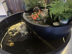 -九寨沟石锅鱼(沣峪口二十年店)