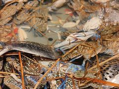 -一方渔歌蒸汽海鲜自助(文化路万达广场店)