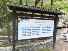-白水冲瀑布