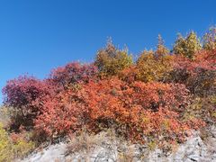 -北京西山国家森林公园