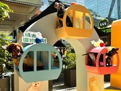 -福田卓悦INTOWN购物中心