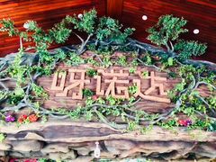 -呀诺达热带雨林
