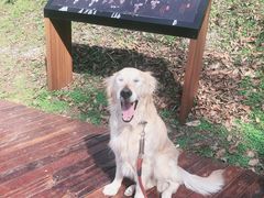 -南京市无想山景区