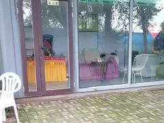 -宠物寄养训练学校