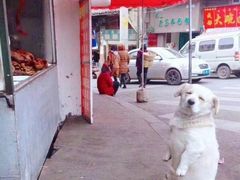 -梅园食堂