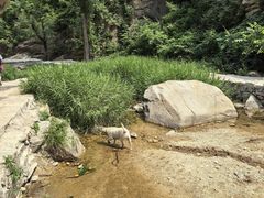 -黑龙潭风景区