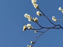 -西昌邛海宾馆