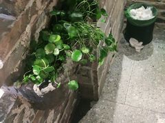 -临街徽菜馆·正宗黄山味