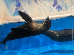 -成都浩海立方海洋公园