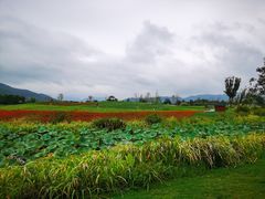 -径山花海