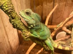 -上海大自然野生昆虫馆