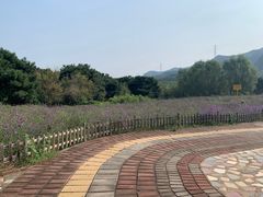 -密云玫瑰情园