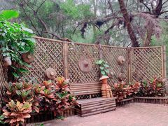 -北海金海湾红树林生态旅游区