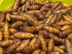 -柿子树炭烤羊腿(金台路店)