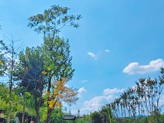 -黄陂区野村谷景区