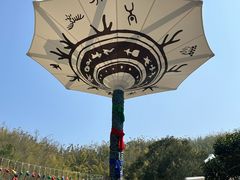 -西双版纳原始森林公园