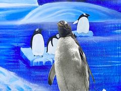 -重庆欢乐海底世界