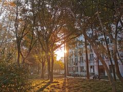 -浙江大学(玉泉校区)