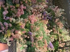 -嘉华鲜花饼·现烤(昆明老街店)