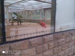 -辛玛王国游乐园