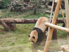 -杭州动物园