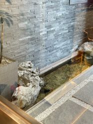-爱儿美儿童摄影(奥森公园店)