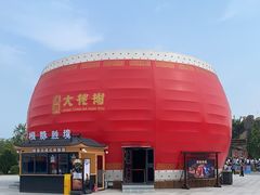 -大槐树寻根祭祖园